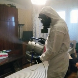 Дезинфекция от клопов в Слюдянке