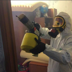 Уничтожение клопов в квартире. Слюдянка